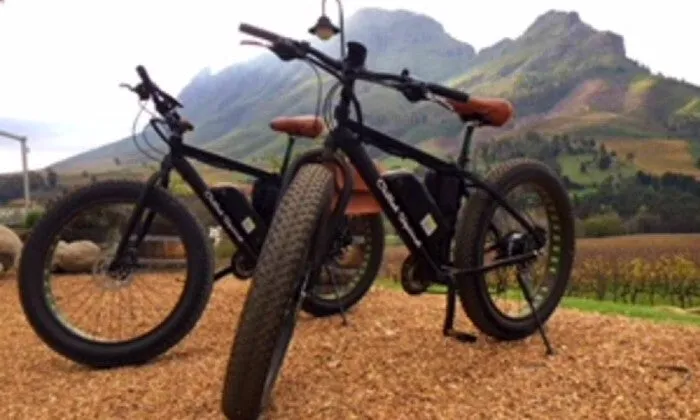 3.5 Hour E-bike Experience in Stellenbosch Countryside