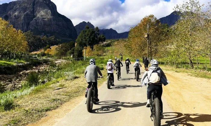 3.5 Hour E-bike Experience in Stellenbosch Countryside