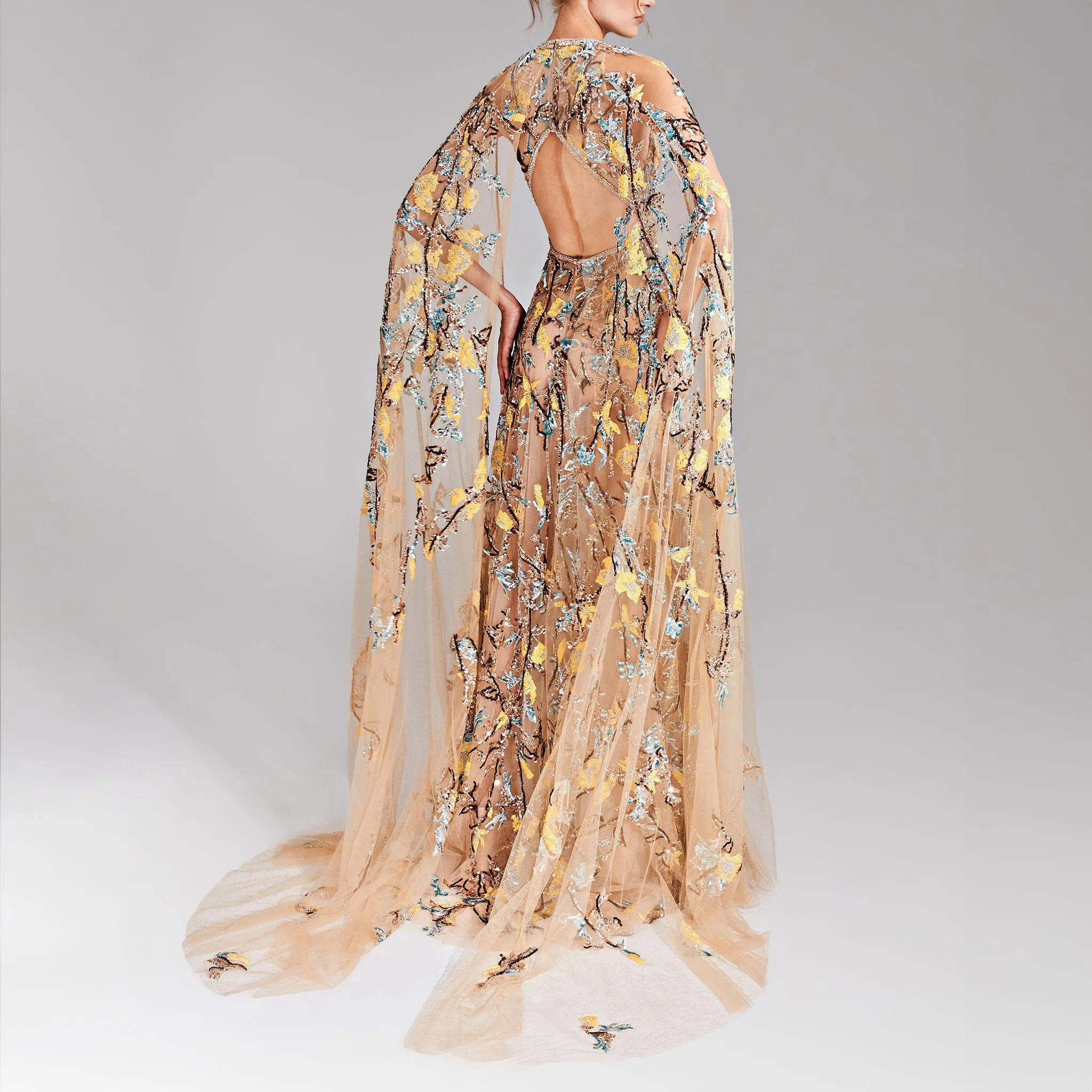 A Greige Tulle Dress With Cape