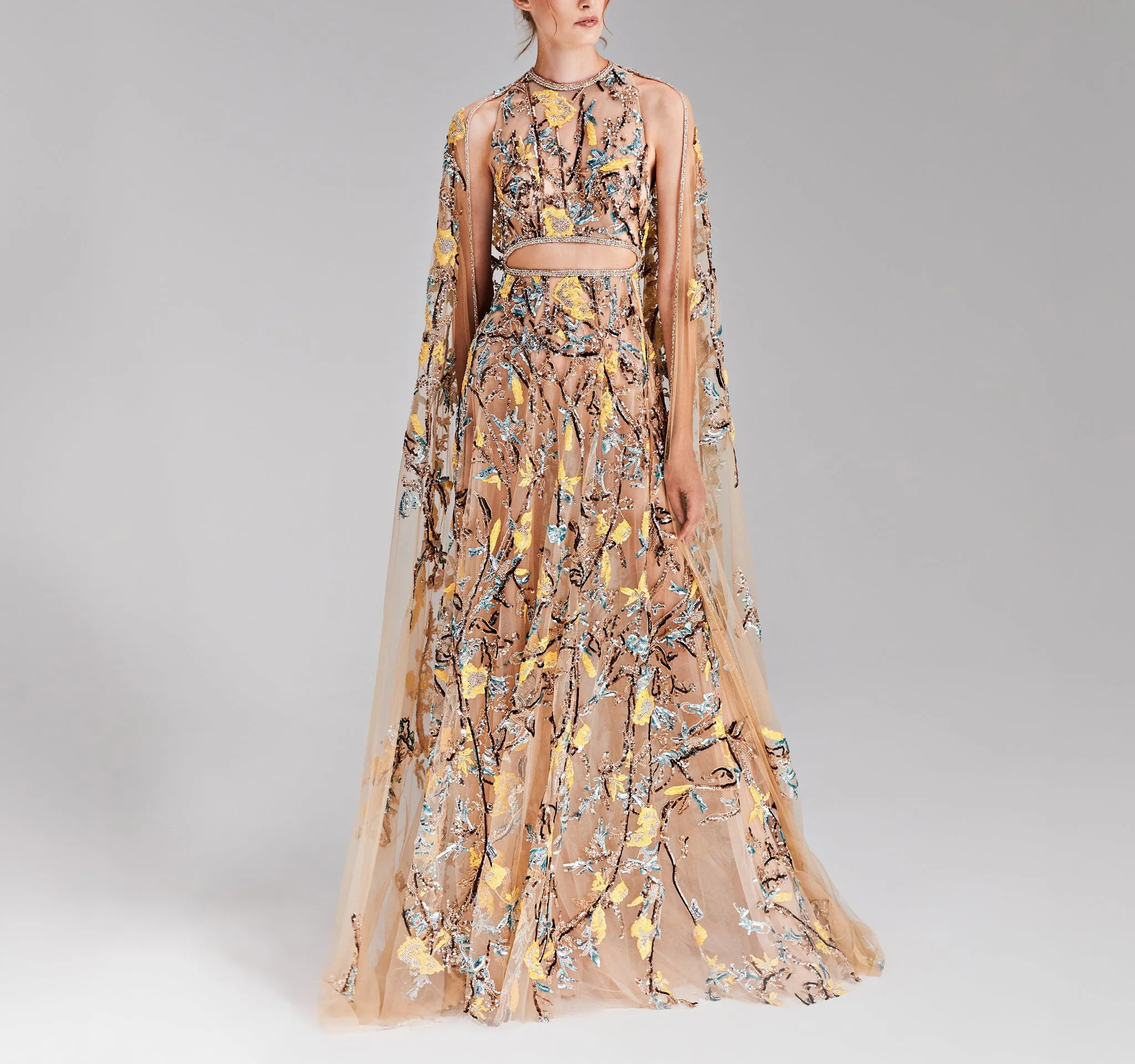 A Greige Tulle Dress With Cape