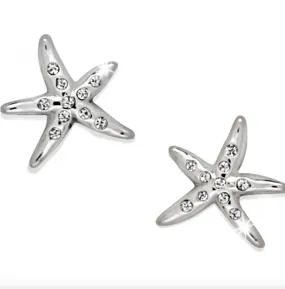 Cape Star Mini Post Earrings