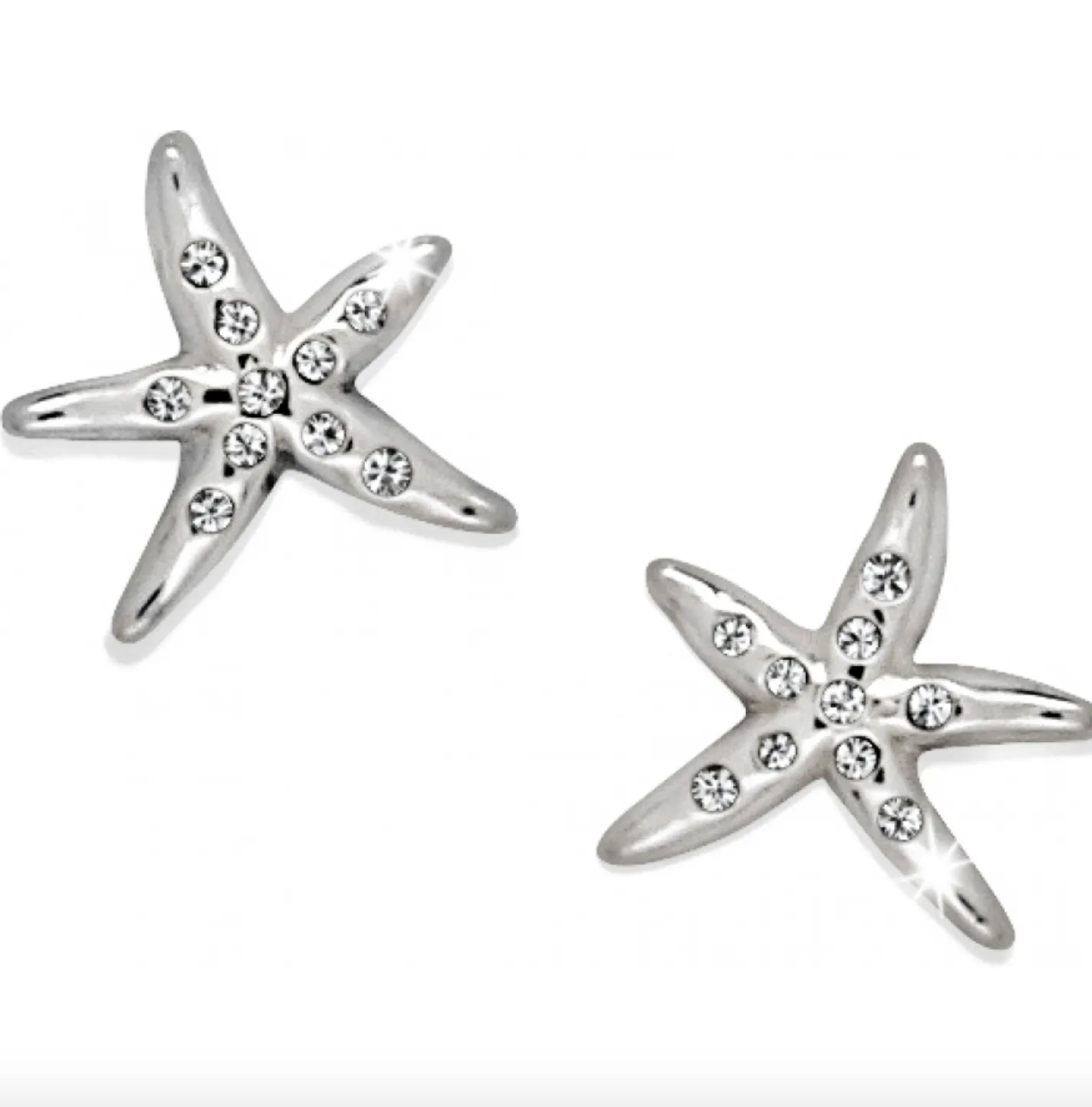 Cape Star Mini Post Earrings