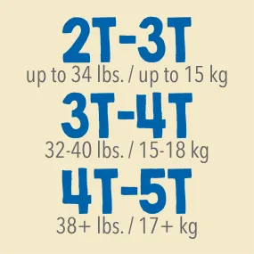 Cutie Pant Training Pant - Boy 4T-5T, 4 Packs of 19 (76 Total)