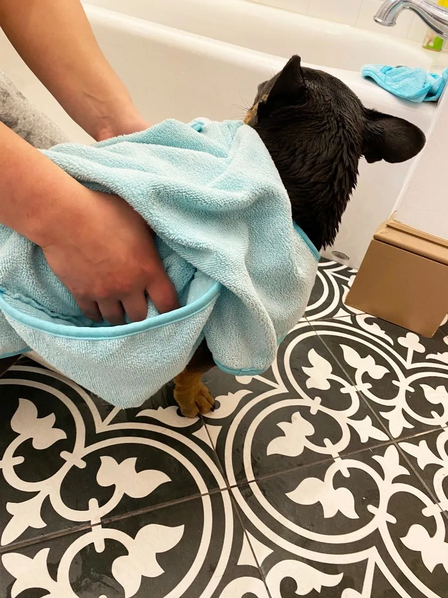 Dog Cape Towel