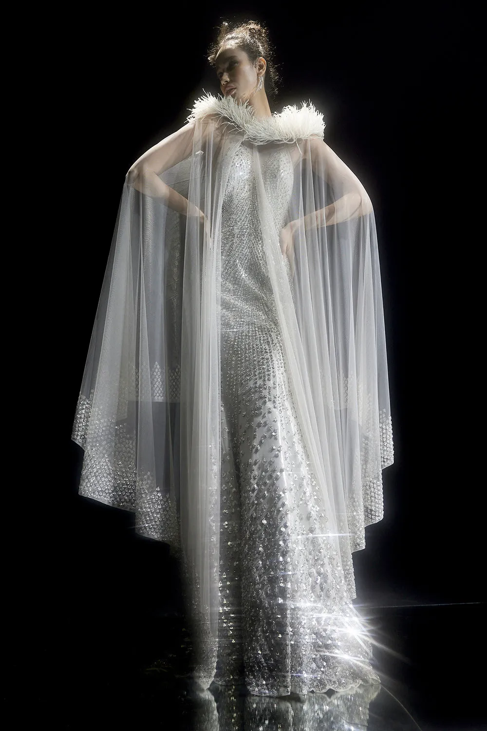 Heavily Embellished Fish Cut Gown With Cape