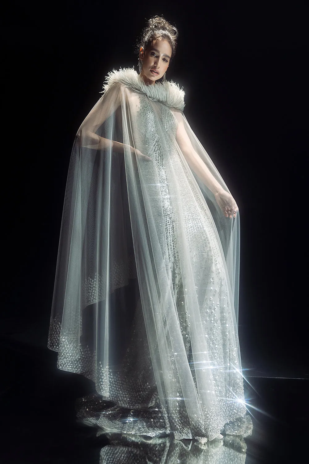 Heavily Embellished Fish Cut Gown With Cape