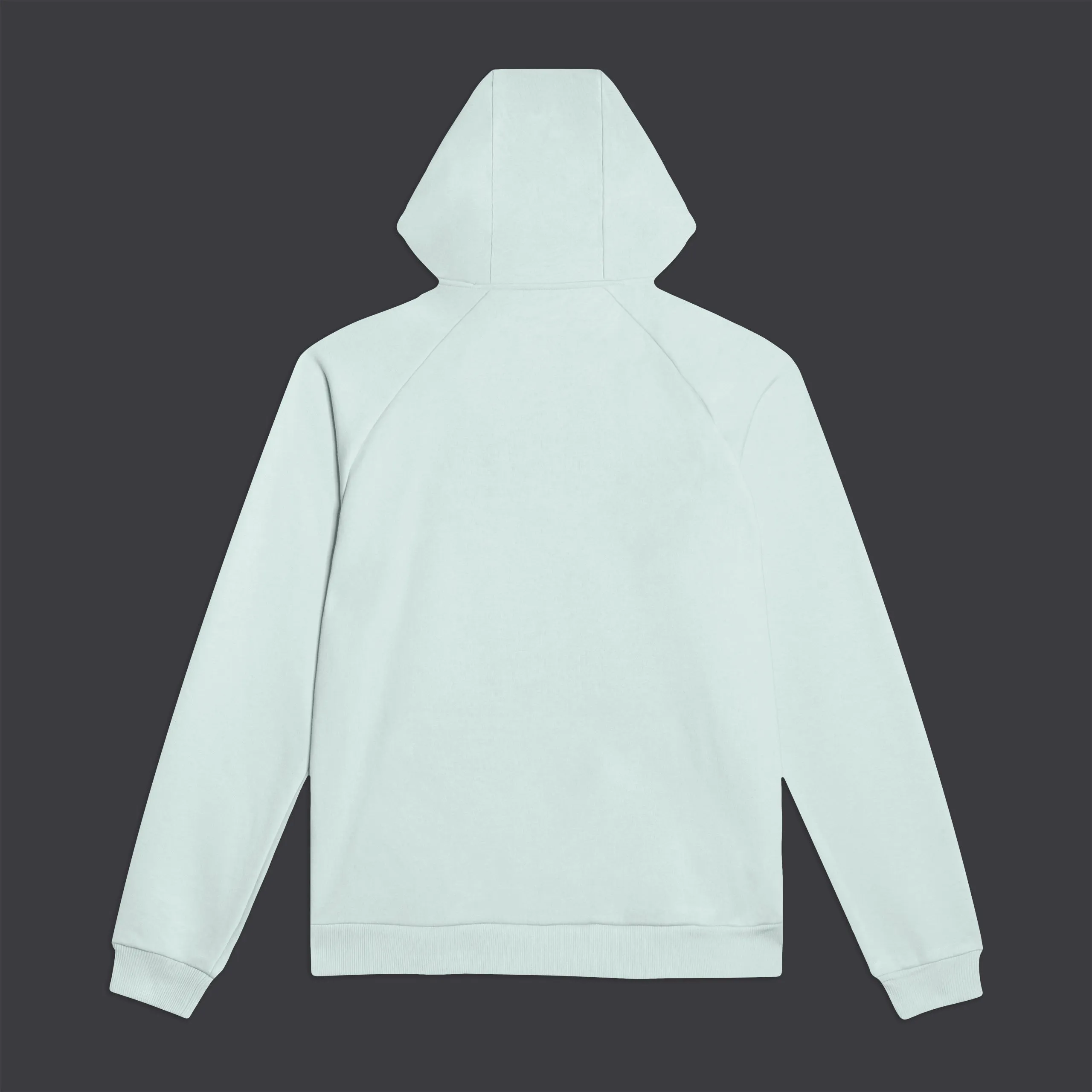 Logo Classic Hoodie Light Blue