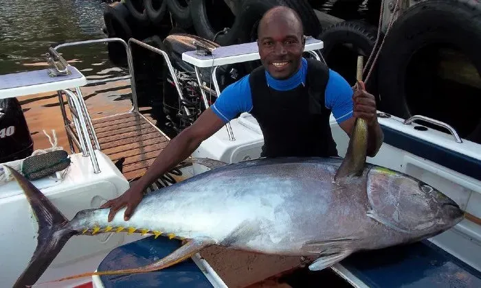 Off-shore Tuna fishing experience