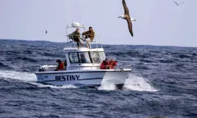 Off-shore Tuna fishing experience
