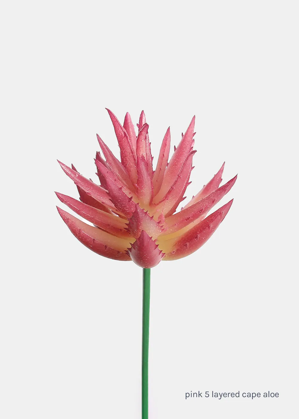 Official Key Items Artificial Succulents - Pink 5 Layered Cape Aloe