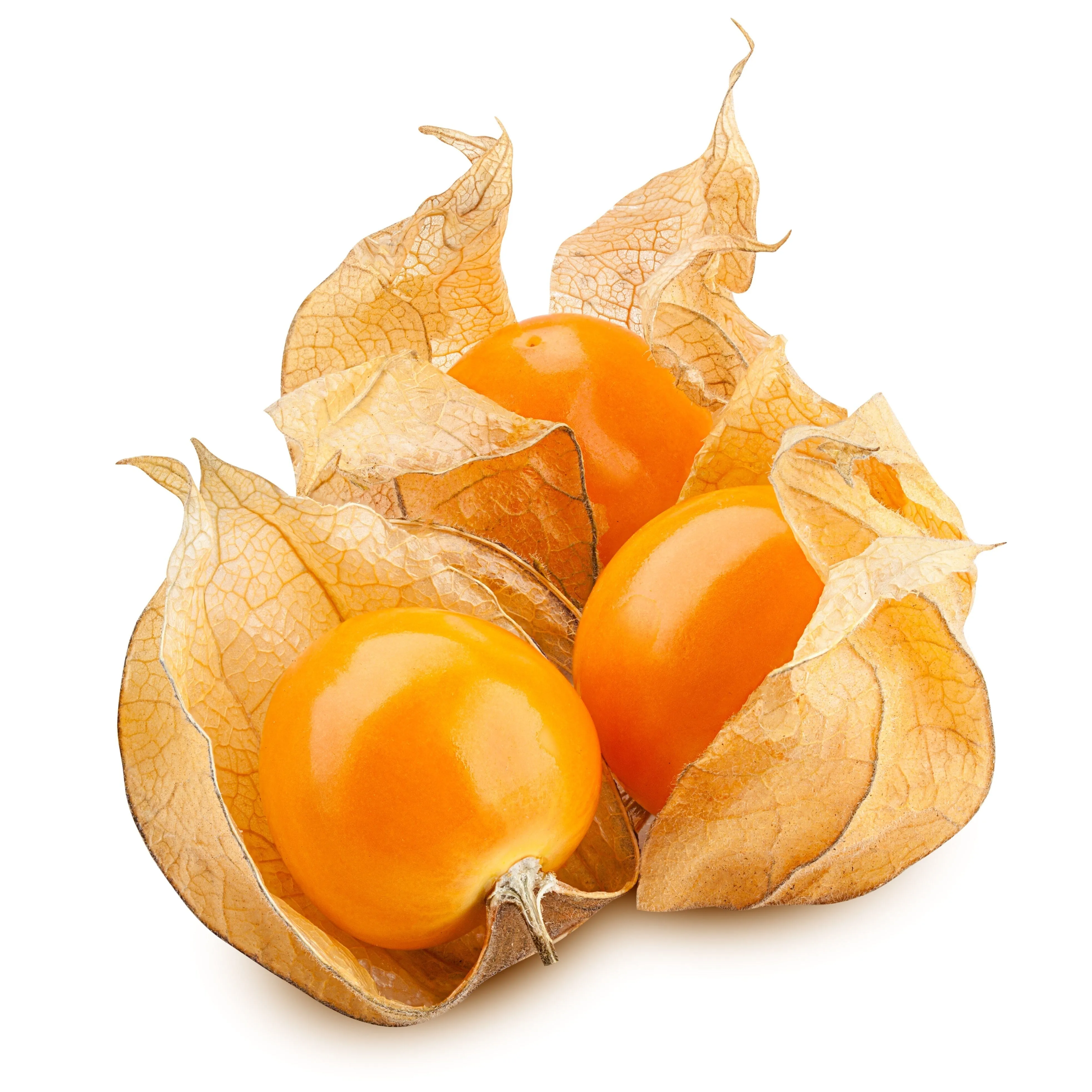 Sun Dried Golden Berries - Organic